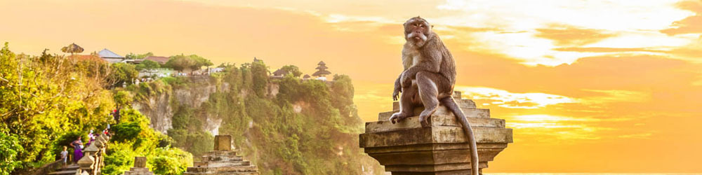 BALI AND KOMODO ISLANDS